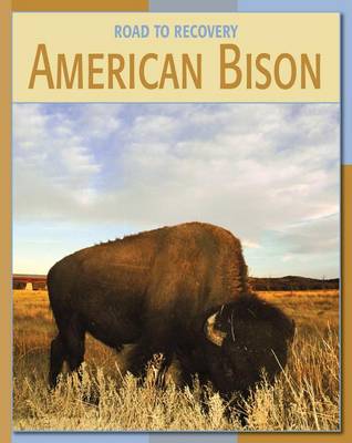 American Bison book