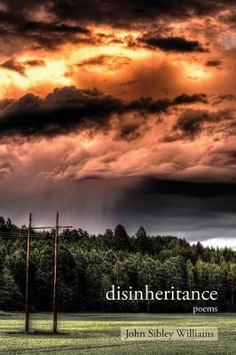 Disinheritance book