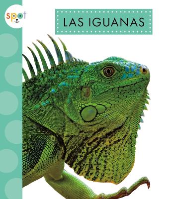 Las Iguanas book