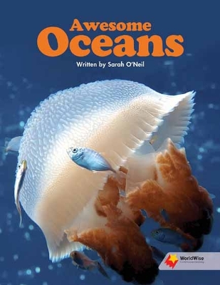 Awesome Oceans book