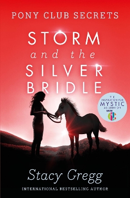 Storm and the Silver Bridle book