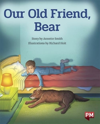 Our Old Friend Bear book