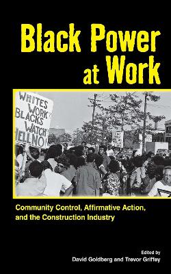 Black Power at Work book