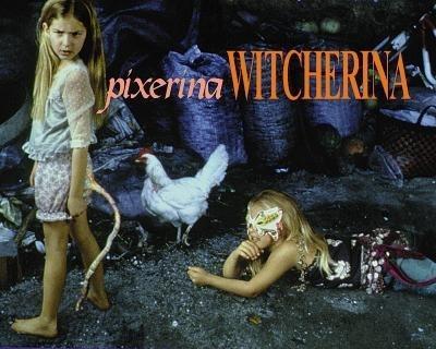 Pixeroma Witcherina book