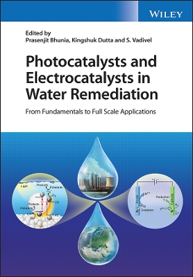 Photocatalysts and Electrocatalysts in Water Remediation: From Fundamentals to Full Scale Applications book