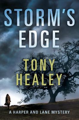 Storm's Edge book