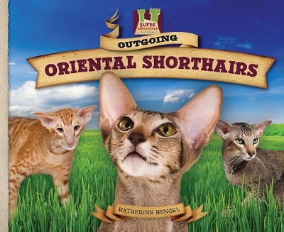 Outgoing Oriental Shorthairs book