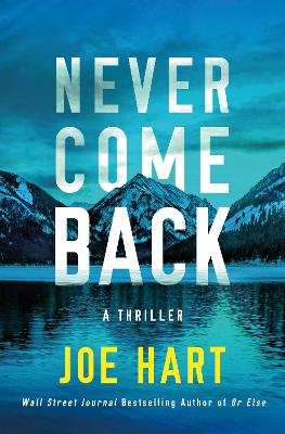 Never Come Back: A Thriller book