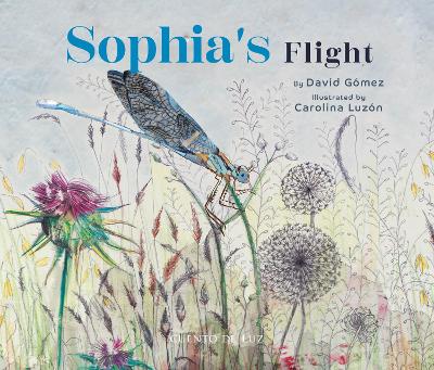 Sophia's Flight book