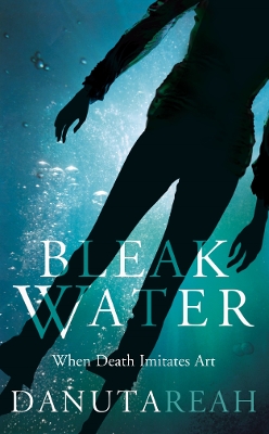 Bleak Water book