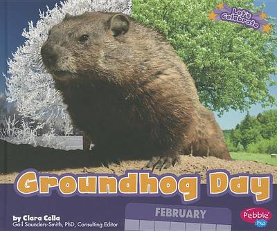 Groundhog Day book