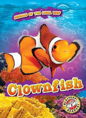 Clownfish by Lindsay Shaffer