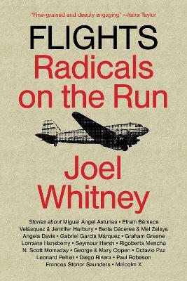 Flights: Radicals on the Run book