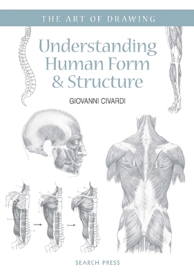 Art of Drawing: Understanding Human Form & Structure book