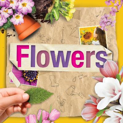 Flowers by Steffi Cavell-Clarke