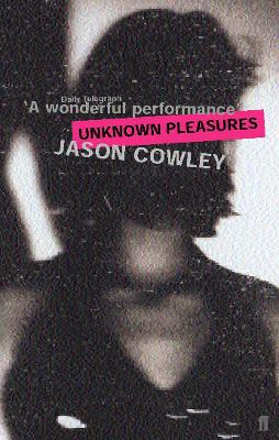 Unknown Pleasures book