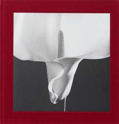Mapplethorpe Flora book