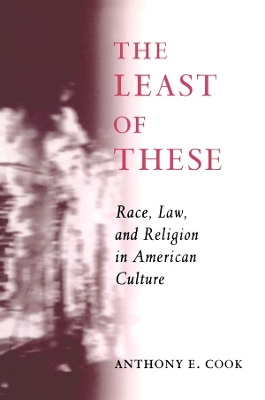 The Least of These: Race, Law, and Religion in American Culture book