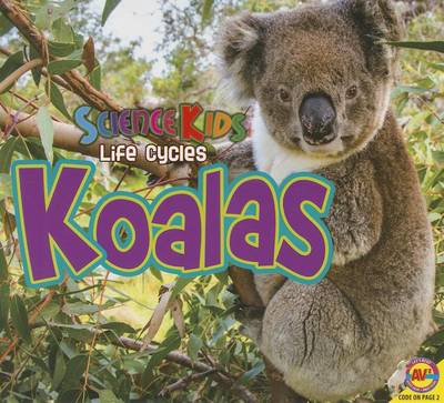 Koalas by Ruth Daly