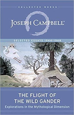 Flight of the Wild Gander book