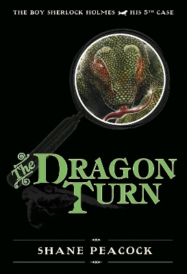 Dragon Turn book