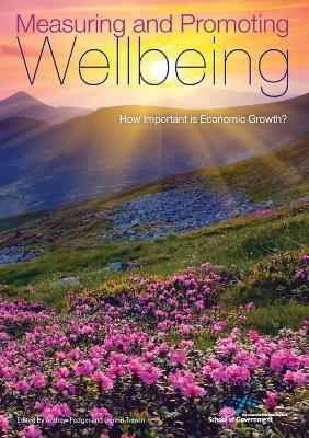Measuring and Promoting Wellbeing book