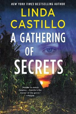 Gathering of Secrets book