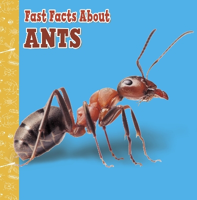 Fast Facts About Ants by Lisa J Amstutz