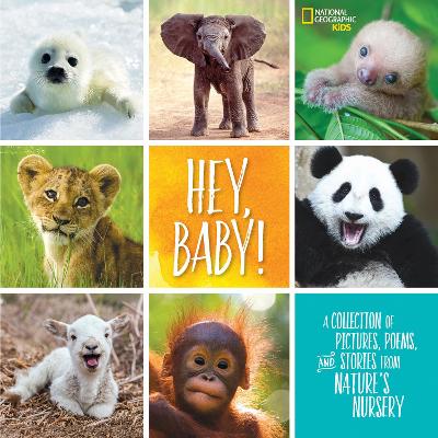 Hey, Baby! book