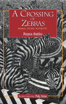 A A Crossing of Zebras by Marjorie Maddox
