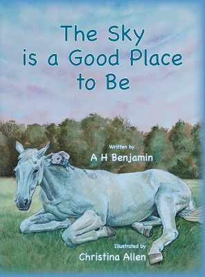 The Sky is a Good Place to Be book
