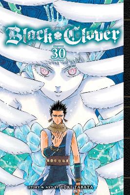 Black Clover, Vol. 30 book