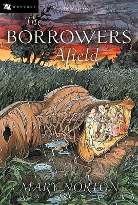Borrowers Afield, the book