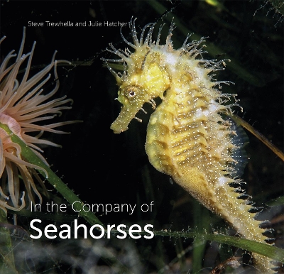 In the Company of Seahorses book