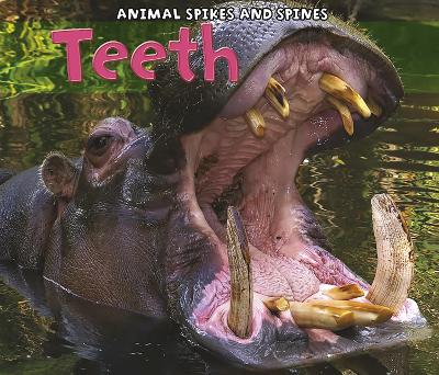 Teeth book