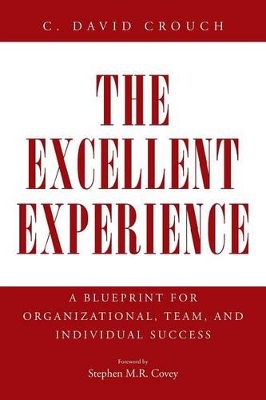 The Excellent Experience: A Blueprint for Organizational, Team, and Individual Success book