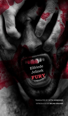 Fury book