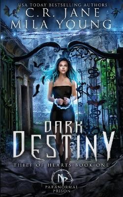 Dark Destiny: Paranormal Romance book