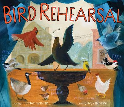 Bird Rehearsal: A Picture Book book