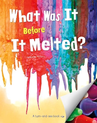 What Was It Before It Melted? book