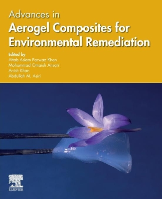 Advances in Aerogel Composites for Environmental Remediation book