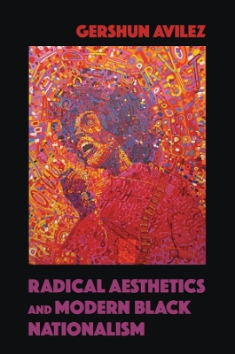 Radical Aesthetics and Modern Black Nationalism book