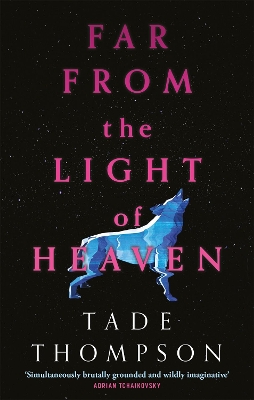 Far from the Light of Heaven: A triumphant return to science fiction from the Arthur C. Clarke Award-winning author book