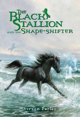 Black Stallion and the Shape-Shifter book