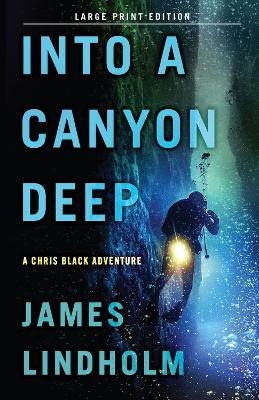 Into A Canyon Deep: A Chris Black Adventure by James Lindholm