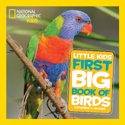 Little Kids First Big Book of Birds book