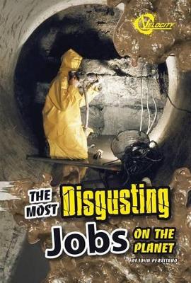 Most Disgusting Jobs on the Planet book