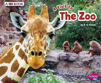The Zoo by Blake A Hoena