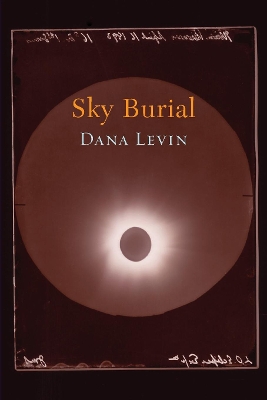 Sky Burial book