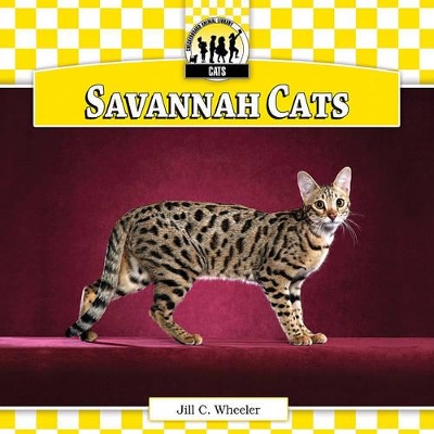 Savannah Cats by Jill C Wheeler